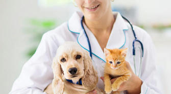 Tips For Saving Money On Pet Insurance